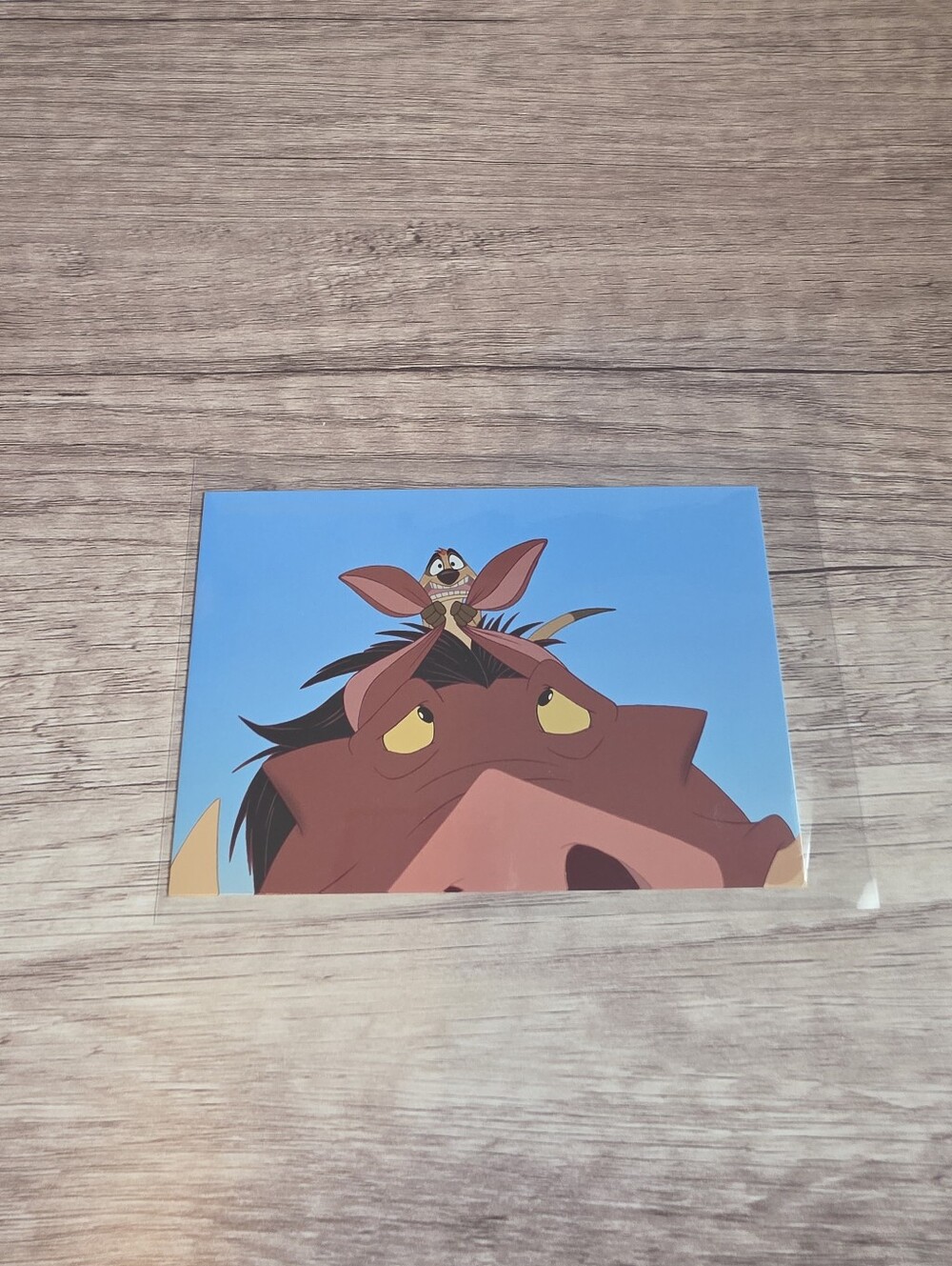 ✨️BUY 3 FOR $22 Timon And Pumba, The Lion King, 1994 Postcard